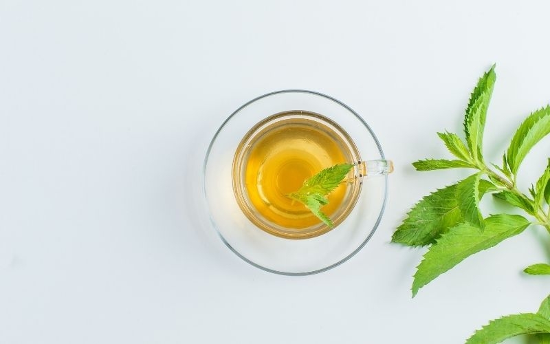正念療癒力進階專訓,課後心得